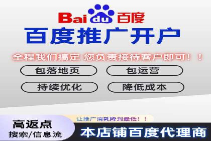 行业应用案例：SEM代运营公司的智慧与策略